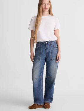 Madewell Petite Darted Barrel-Leg Jean in Irmo Wash NWT
